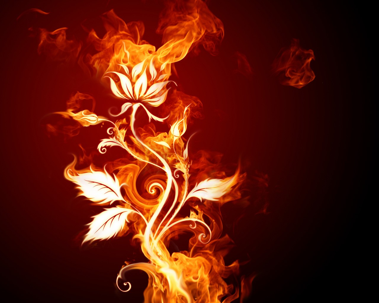 Fire Graphics