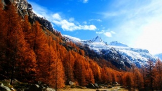 Осень