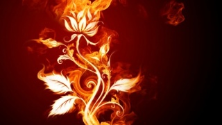 Fire Graphics