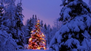 ���������� ���� � ����