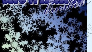 Snowflakes brushes