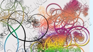 Curly HQ Brushes