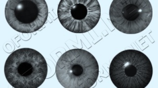 Iris brush
