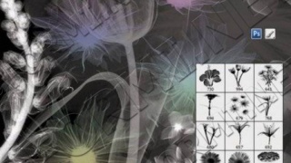 Xray flowers