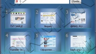 Vista skin