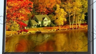 3D Gorgeous Fall Foliage