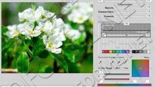 Photo Improver