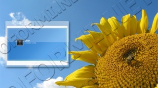Sun Flower