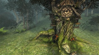 Cuckoo Clock 3D