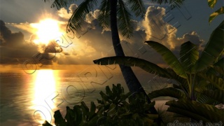 Lagoon