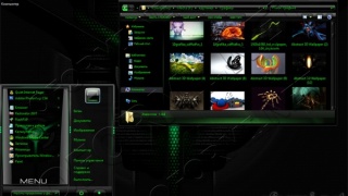 Emerald